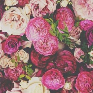 Meet your Posher, Christi